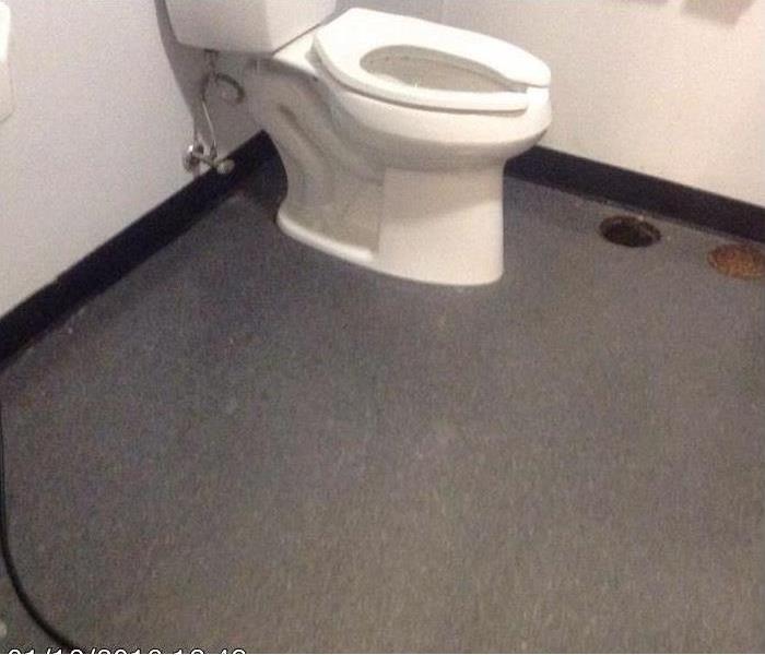 Clean bathroom with white toilet