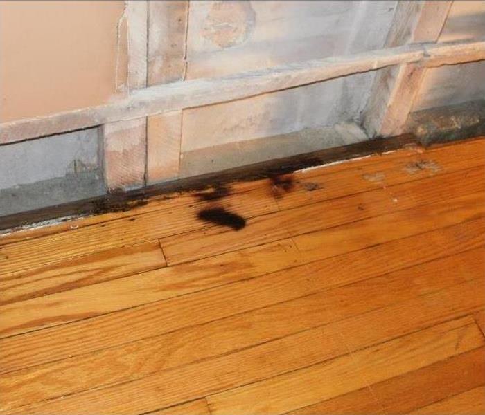 the exposed, slightly charred in a few spots, floorboards, after removing the carpeting