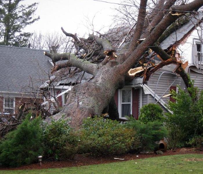 storm damage to a house with a tree that fell on it