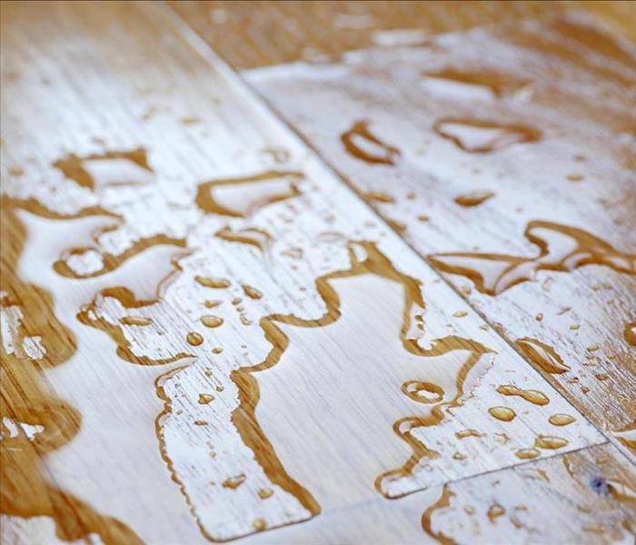 Wet Hardwood Flooring, Water Is Visible On the Floor
